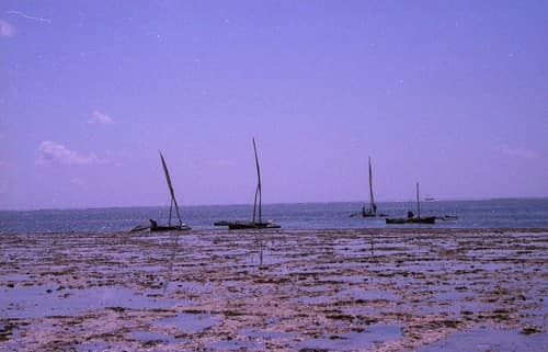 Kenya 180