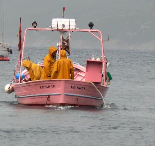 Pink Fishing