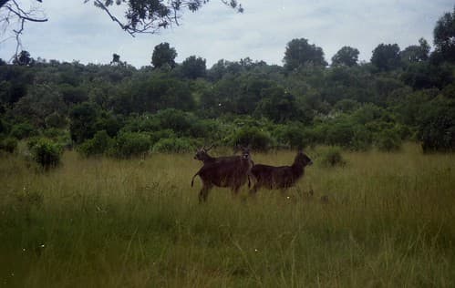 Kenya 064
