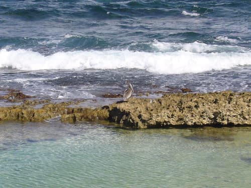 LE MOULE Guadeloupe — photo de Jukk_a