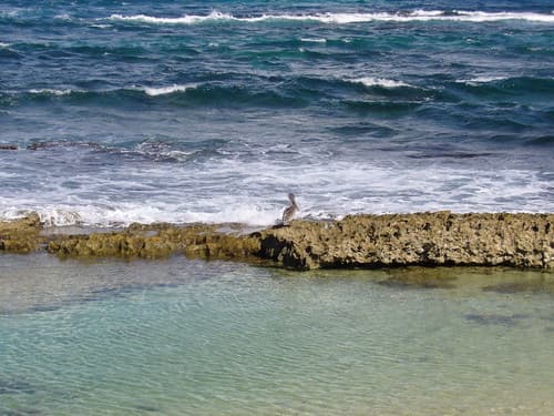 LE MOULE Guadeloupe — photo de Jukk_a