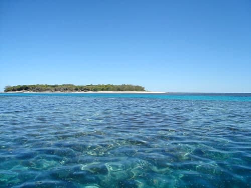 Great Barrier Reef - Lady Musgrave Island