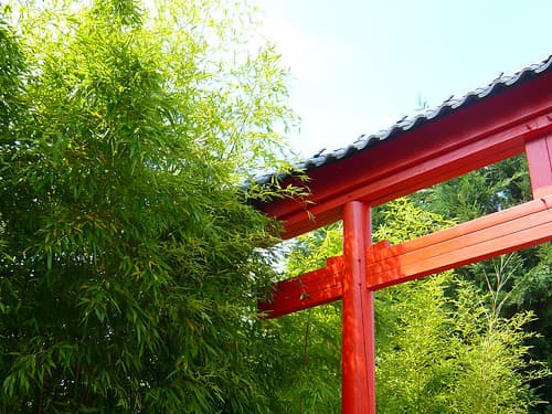 Torii & Bamboo // Torii & Bambou