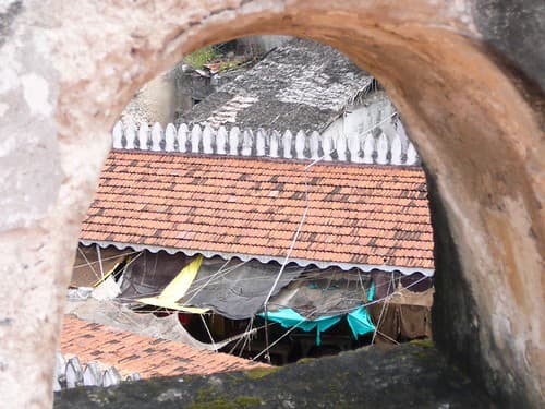 lamu