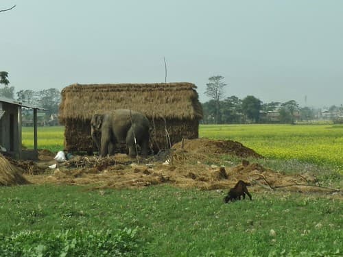Chitwan, Nepal
