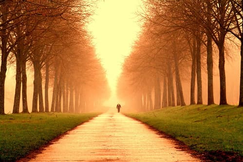 Alone in the fog