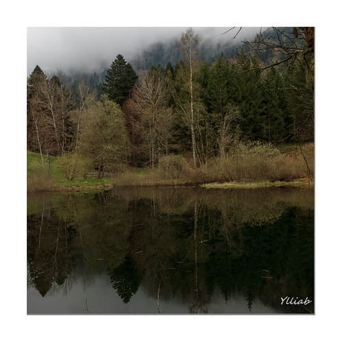 Lac - Prémol - Isère