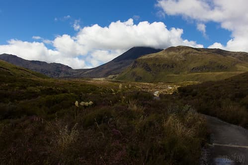 Nouvelle-Zelande travel — photo de Ubaían