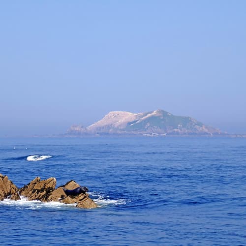 Archipel des Sept-Îles, Côtes-d'Armor