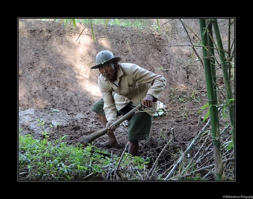 Vieil Homme- Travail de la terre en bordure de chemin- Magelang- Java- Indonésie- Indonesia