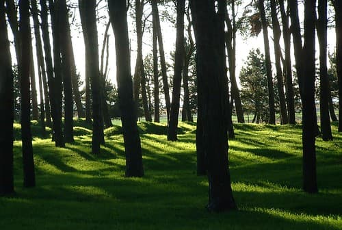 Vimy