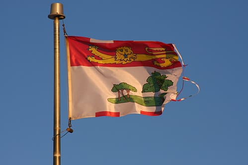 Strange Flag