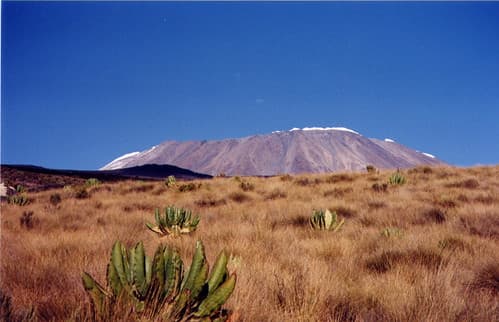 On the way to Kili