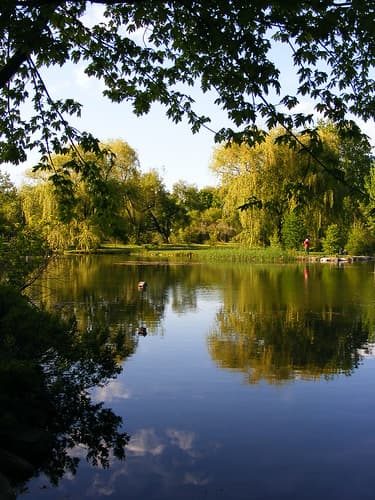 Jardin Botanique de Montréal