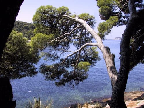 Cavtat
