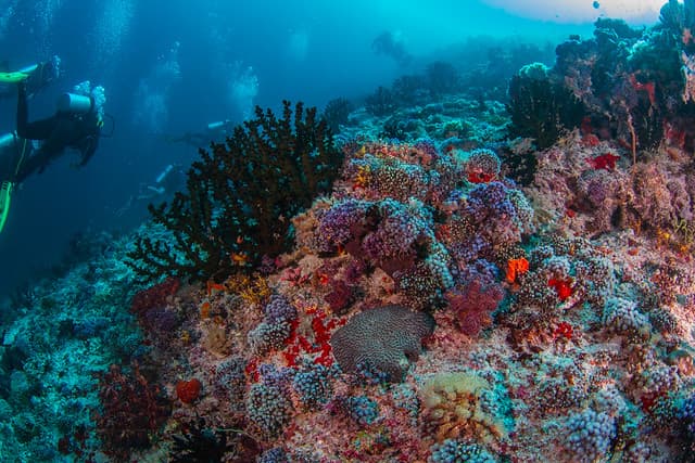 villu reef