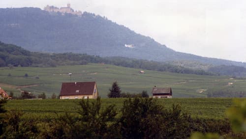 En Alsace, France 1987
