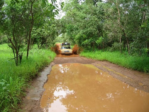 Driving in Niokolo Koba NP, Senegal