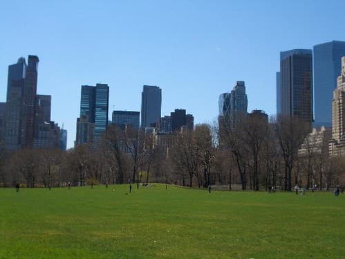 Central Park - New York