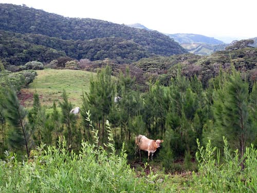 Hills of Monteverde Costa Rica