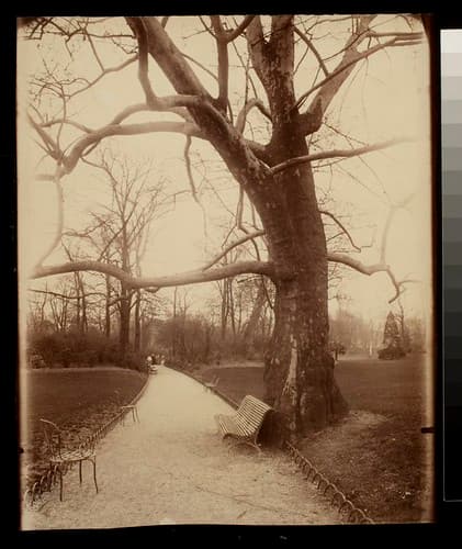 Parc Monceau (8e arr)