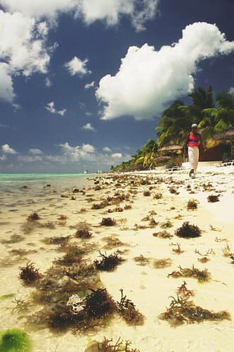 ile maurice