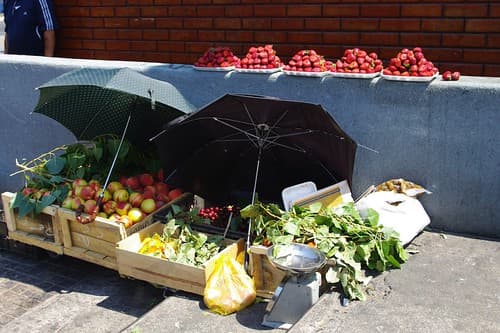 Petit vendeur de fruits et légumes à Santiago
