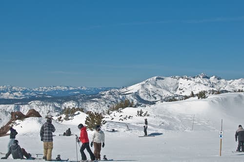 mammoth