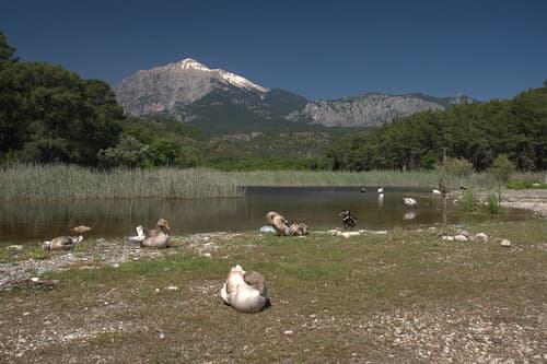 Mont Olympos