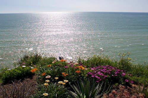 Albufeira