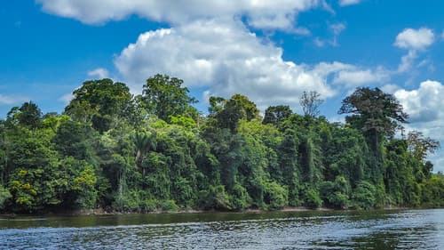 Upper-Suriname river
