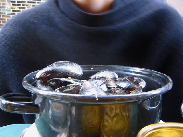 LE MOULE