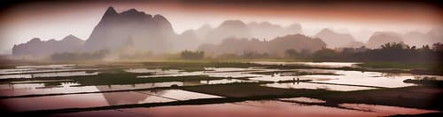 Paddy field view taken from the car on the road to Mai Chau