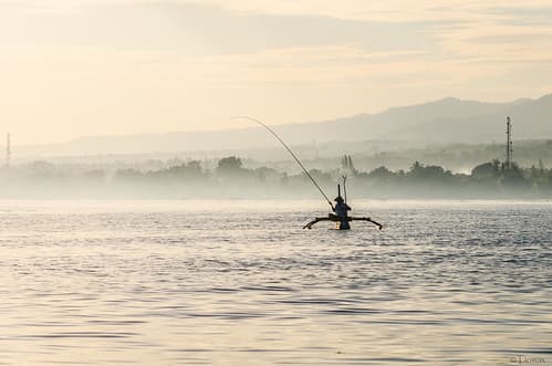 The early worm catches the fish