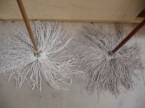 Two mops in Muscat, Oman