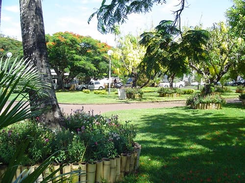 Jardins de la mairie, Saint Pierre