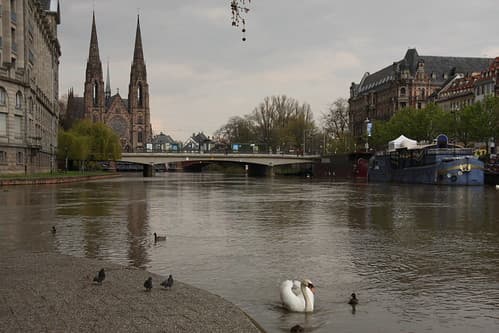 Strasbourg