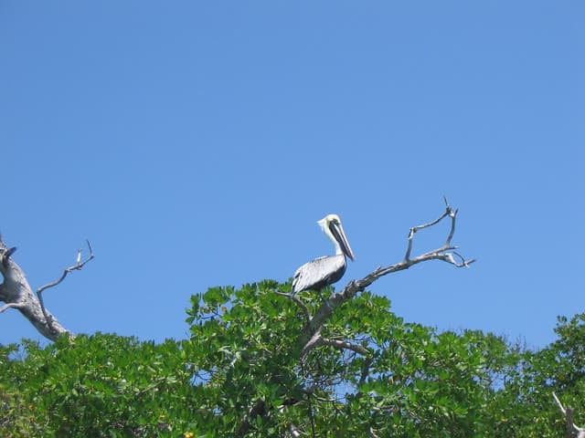 Voyage Riviera Maya