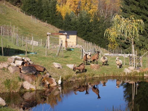 Domaine de Basil, Orbey, Haut-Rhin, Alsace (France)