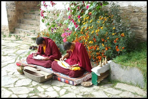 Monks ..... are they really studying ?