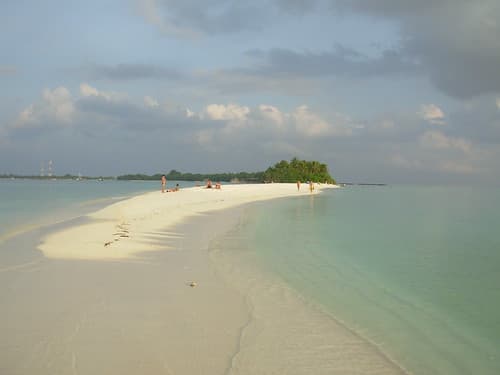 The Beach