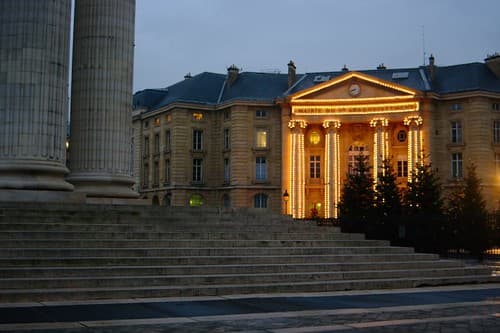 forêt de sapins de Noël devant la mairie du 5eme