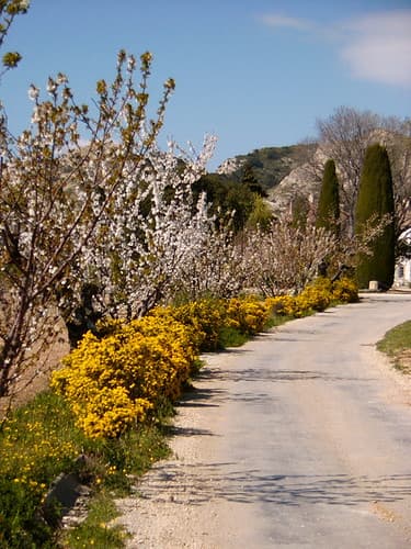 Les Baux de Provence
