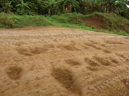 Holes in the Road_1563