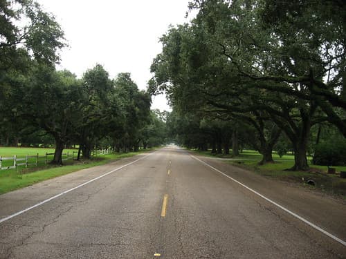 St. Martinville, Louisiana (15)