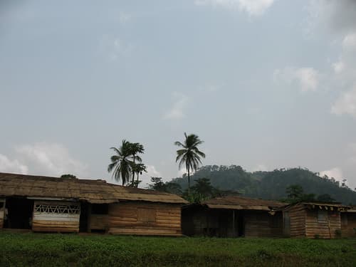 Houses along road (Cameroon)_1561