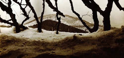 HARTMANNSWILLERKOPF 1915