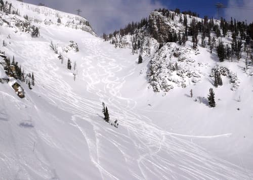 laramie bowl