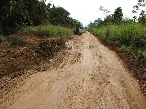 A Taste of the Wet Season_1541