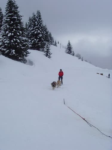 Avoriaz Skiing